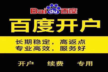 竞价SEM与社交媒体结合的营销案例研究